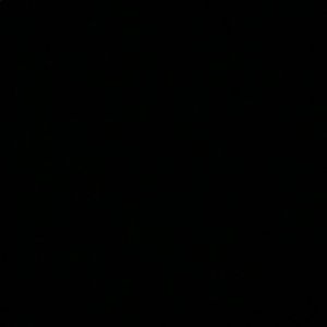 Meet your Posher, Benjamin